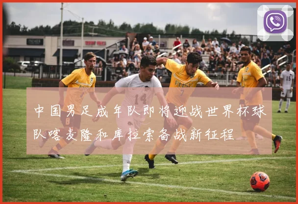 中国男足成年队即将迎战世界杯球队喀麦隆和库拉索备战新征程
