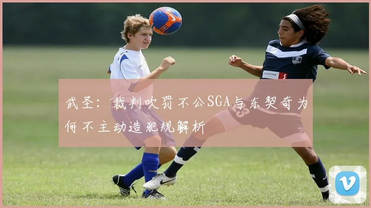 武圣：裁判吹罚不公SGA与东契奇为何不主动造犯规解析